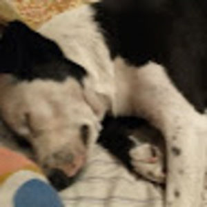 Meet your Posher, Stacy